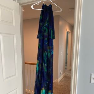 Beautiful floor length peacock dress
